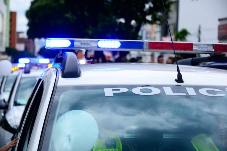 police car crime statistics Hungarian policeman antifa criminal Hungarian Catholic school teacher threw slumber party, then sexually assaulted an eighth grader jewish austrians