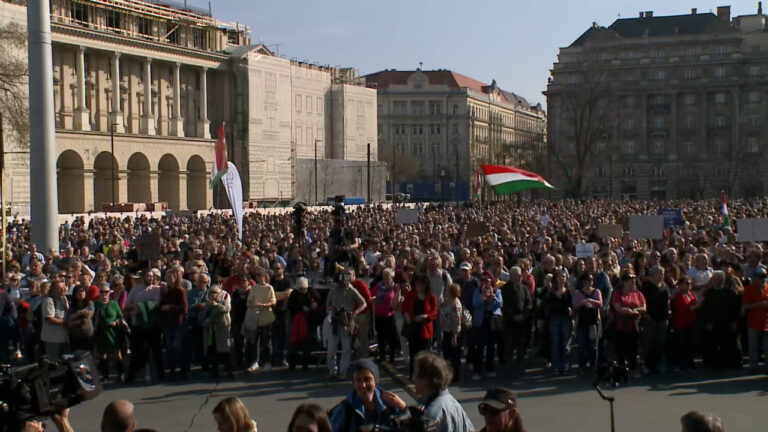 Doctors demonstrate in Budapest