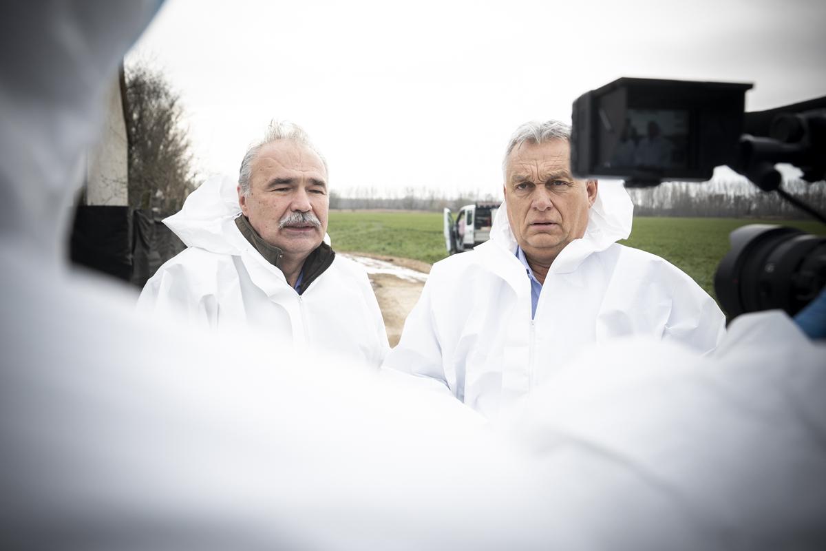 Foot and mouth disease in Hungary