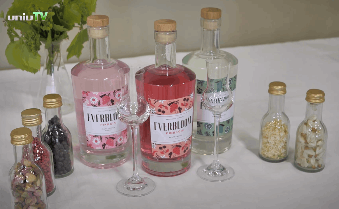 Gin developed at Pécs University (Copy)